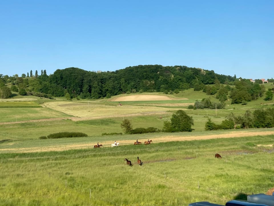 Horse-riding, View (from property/room)