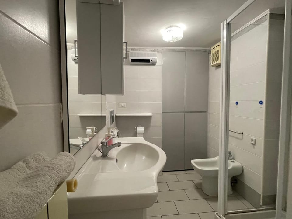 Shower, Bathroom, bidet, towels