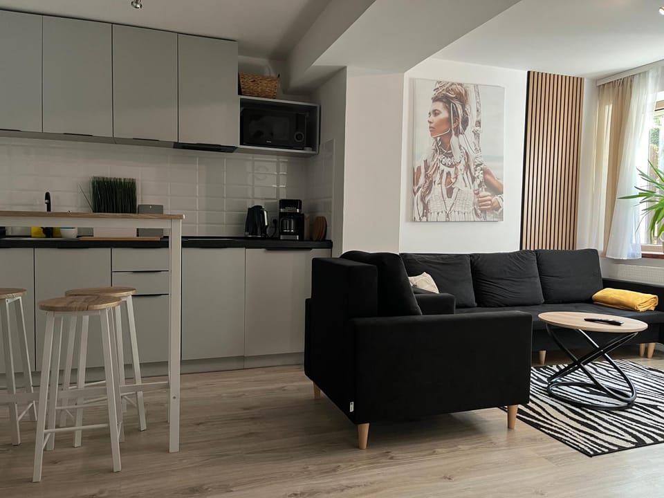 Apartament Soplicy 17 Apartment in Greater Poland Voivodeship