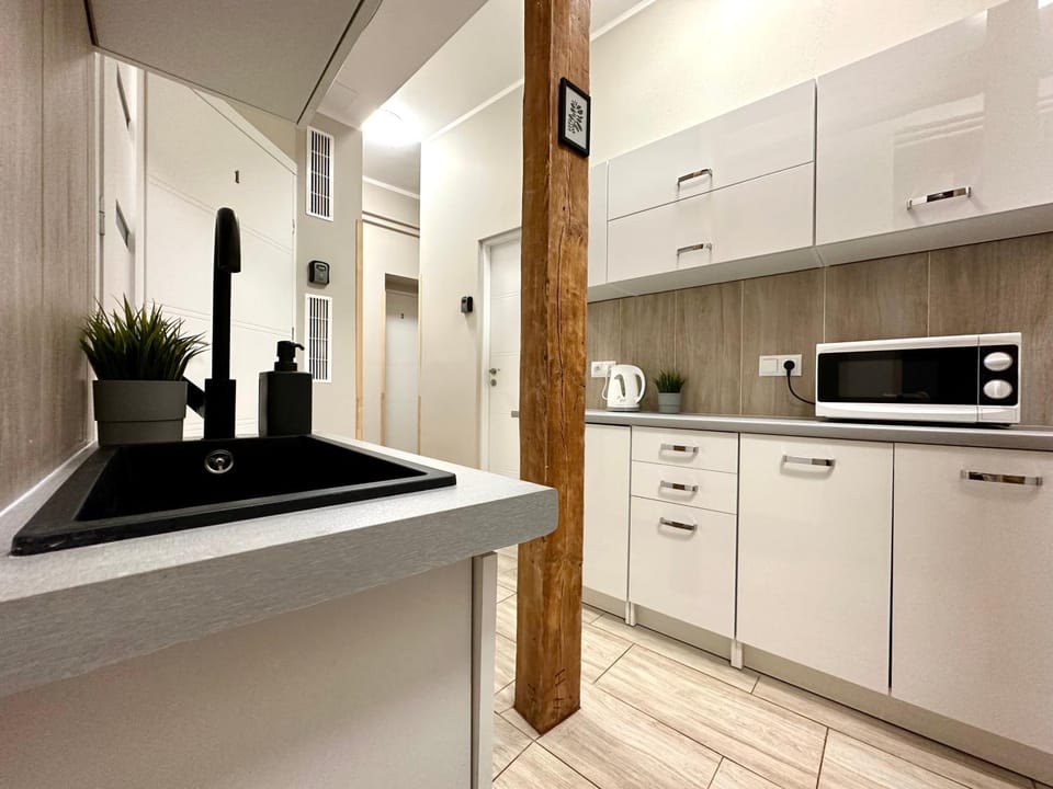 Kitchen or kitchenette, minibar, stove