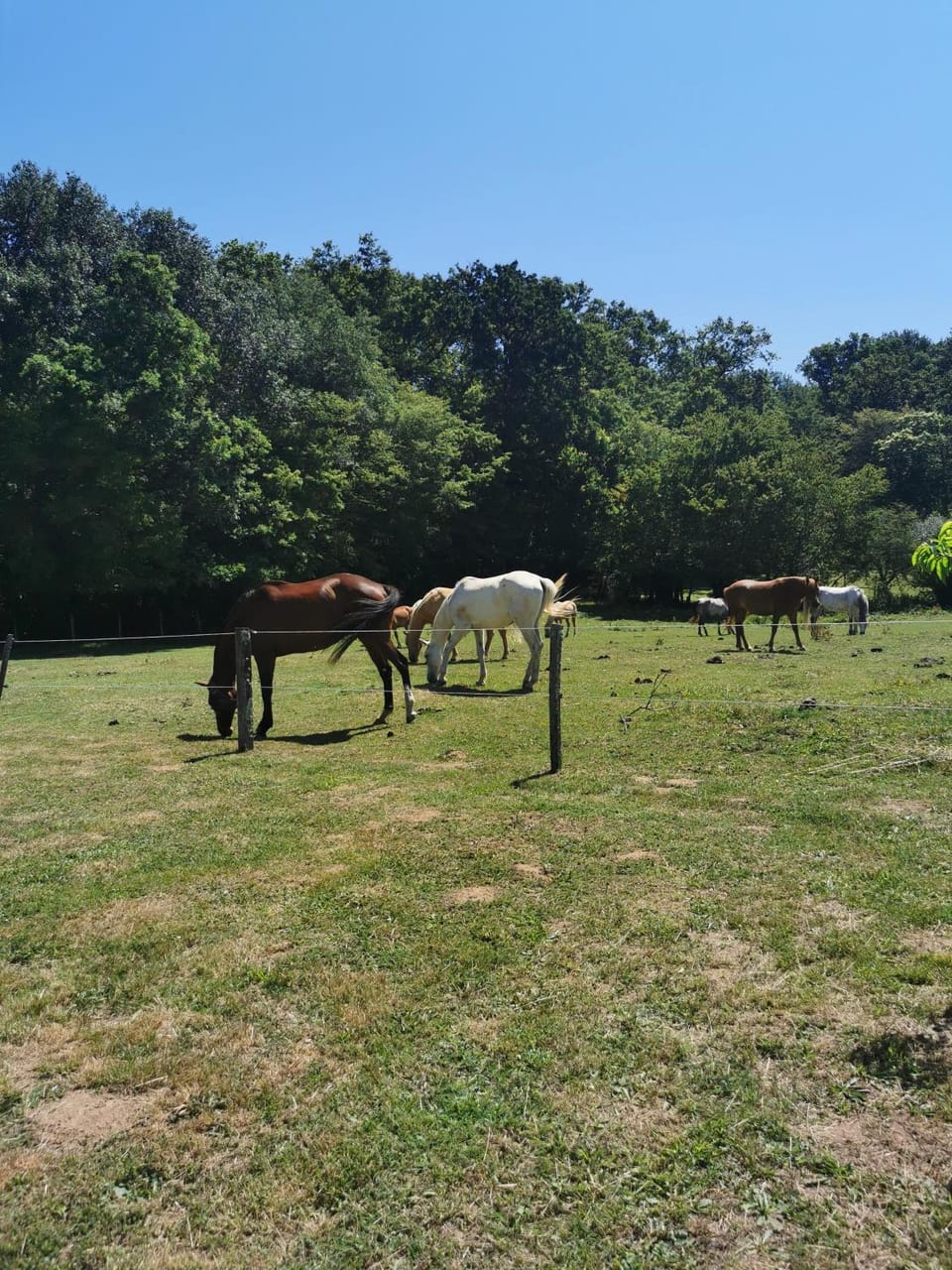L epicerie House in Bourgogne-Franche-Comté