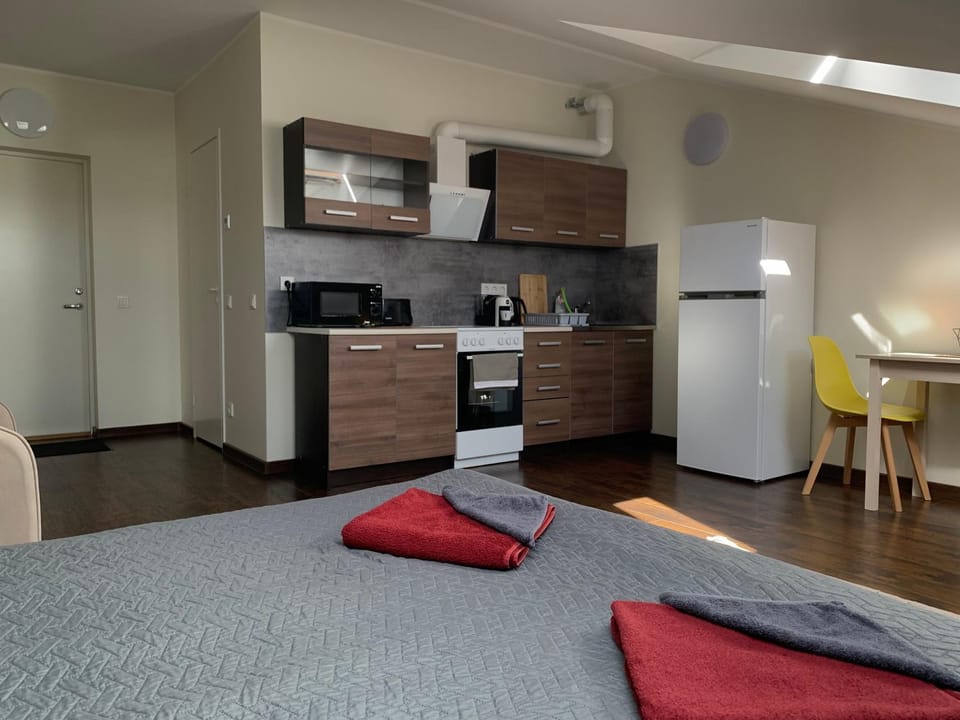 Bed, Kitchen or kitchenette, Photo of the whole room, Dining area, oven