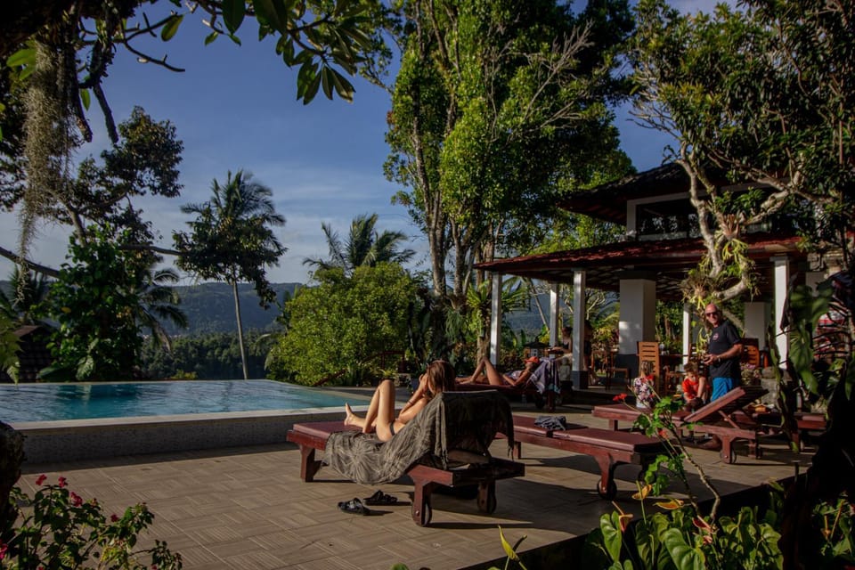 Pool view, Swimming pool