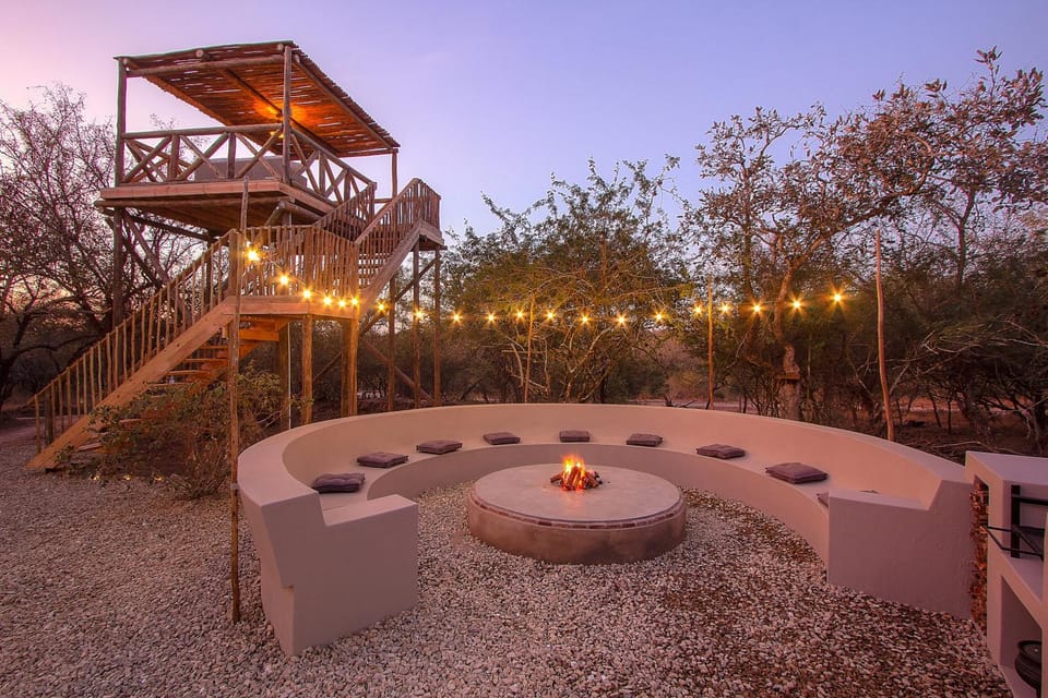 Patio, Natural landscape, Garden, Garden view