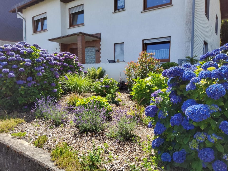 Auf der Heide Apartment in Rhineland-Palatinate