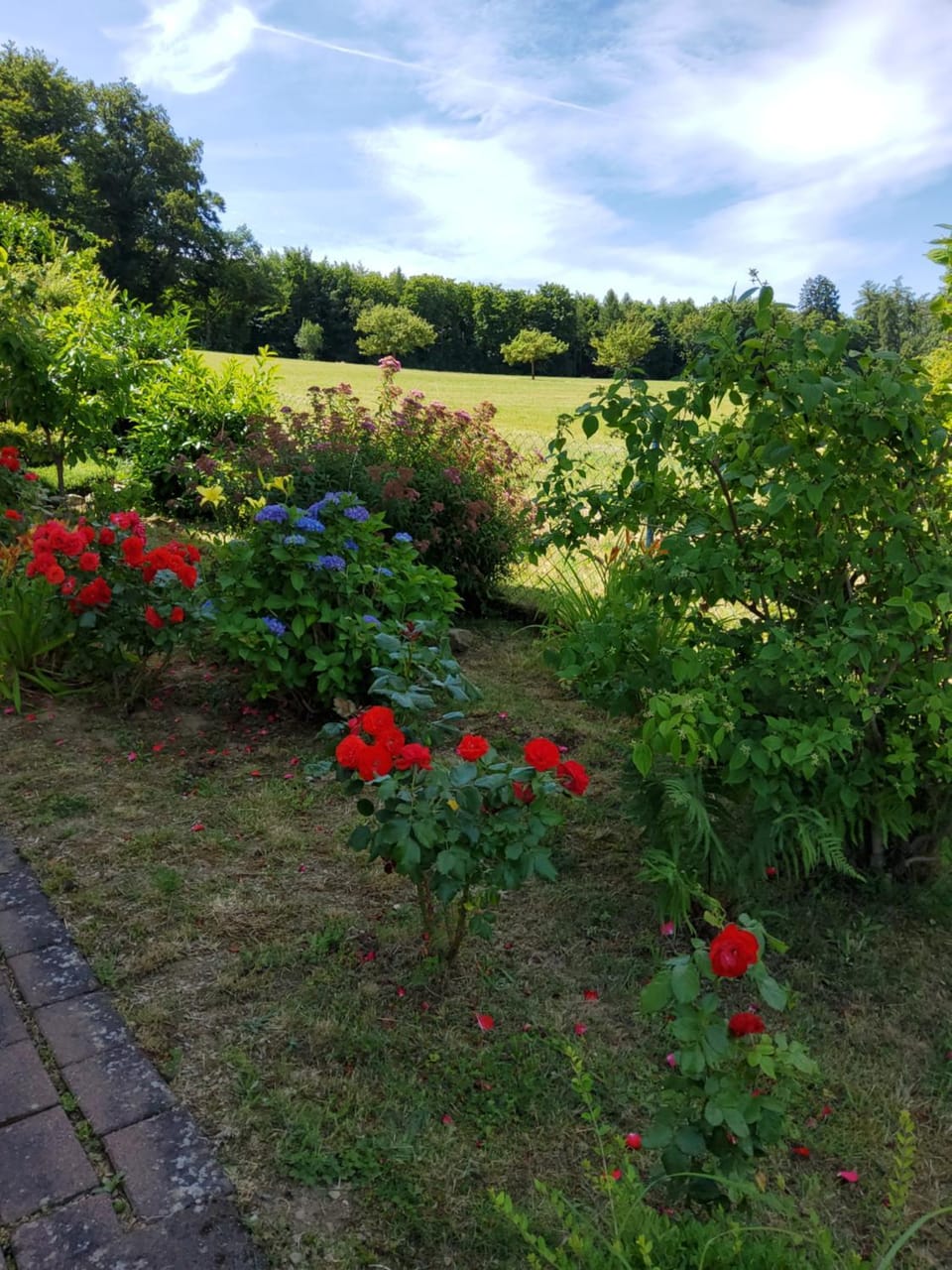 Auf der Heide Apartment in Rhineland-Palatinate