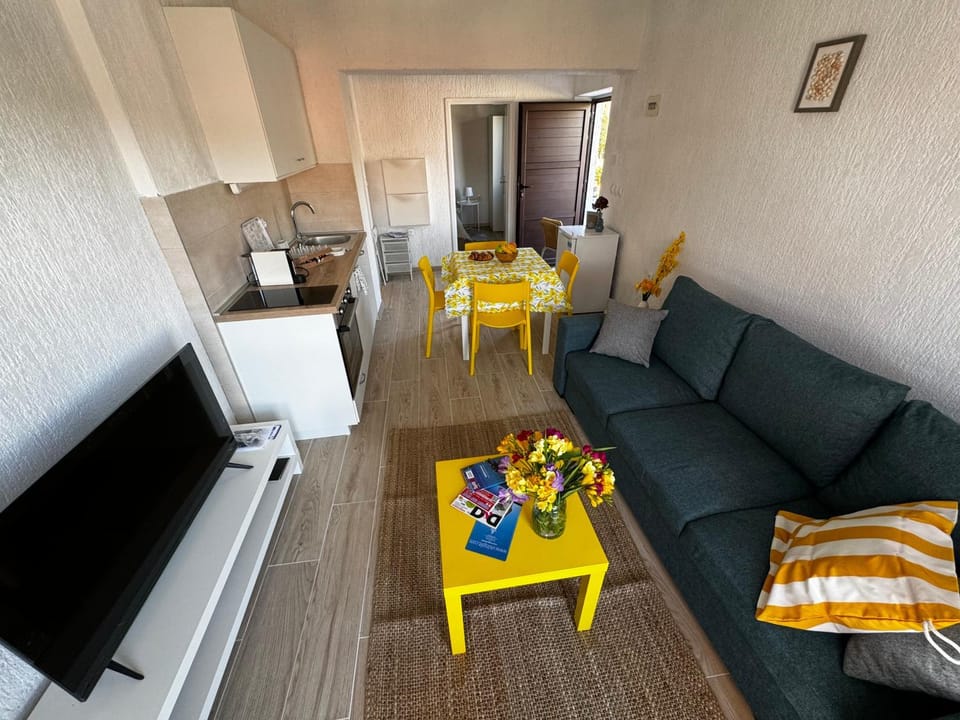 Communal lounge/ TV room, TV and multimedia, Kitchen or kitchenette, Living room, Seating area, Dining area, pet friendly