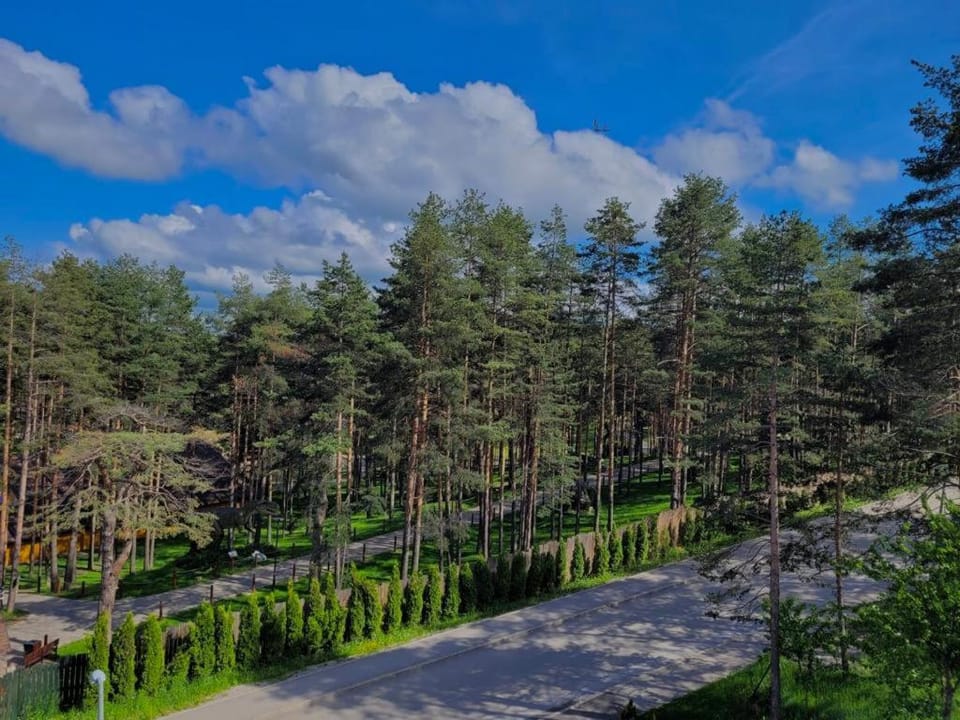 Natural landscape