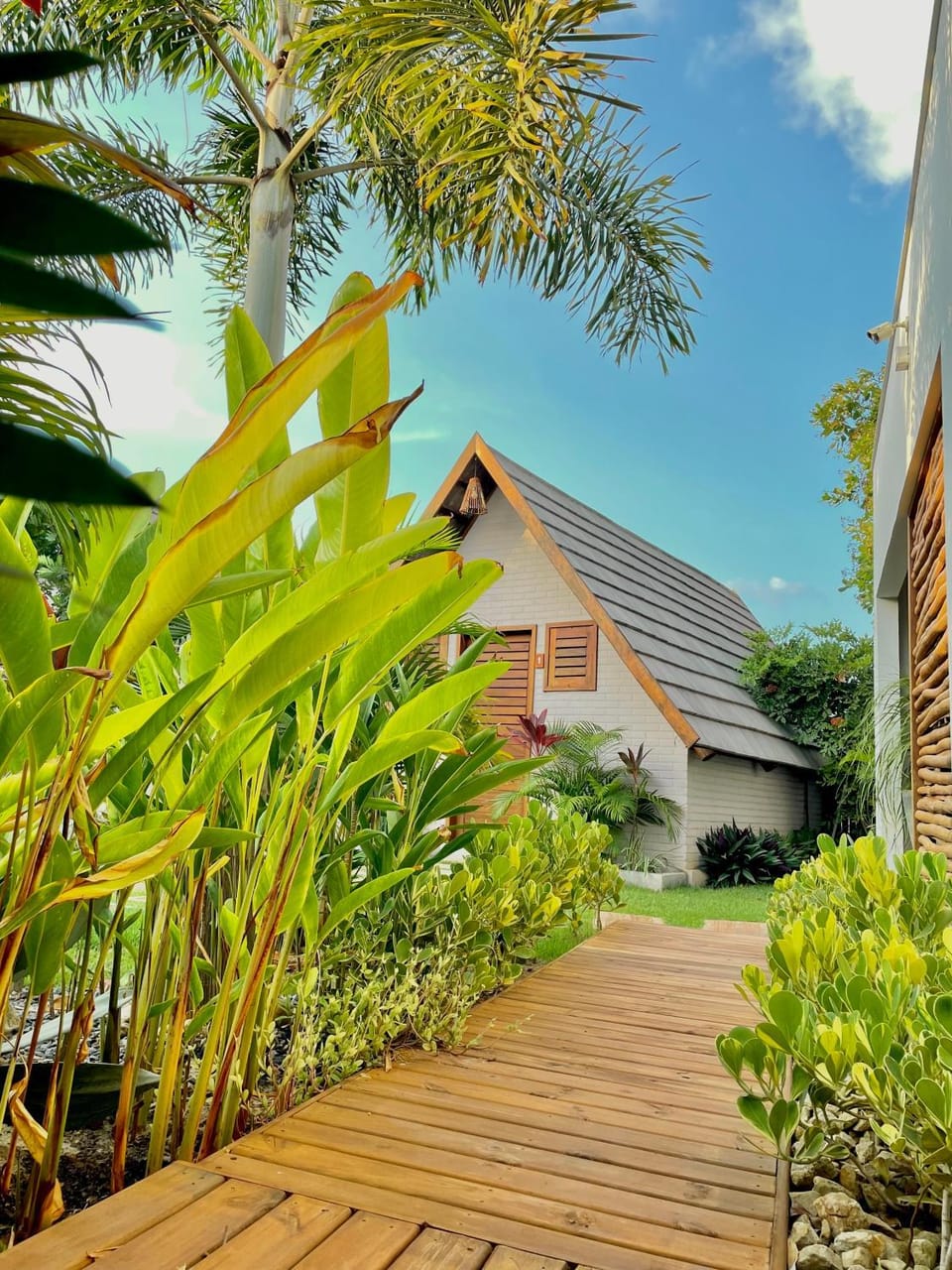 Garden view