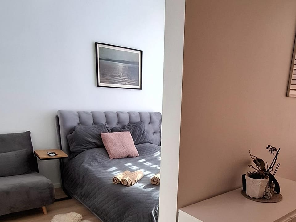 Ramus poilsis Apartment in Palanga