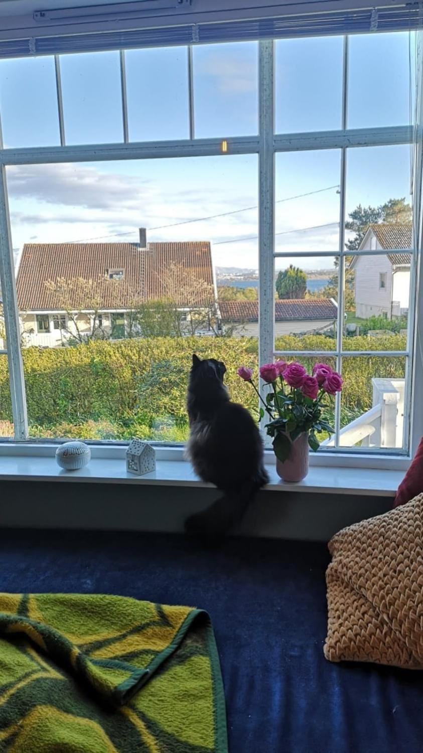 Shared Farmhouse Vacation rental in Rogaland