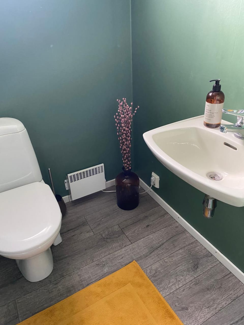 Toilet, internet