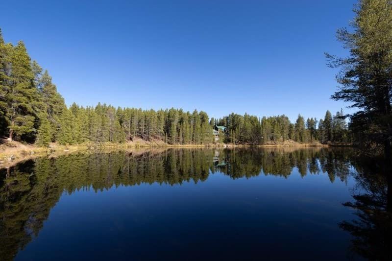 Lake Flora Cabin Cabin in Colorado