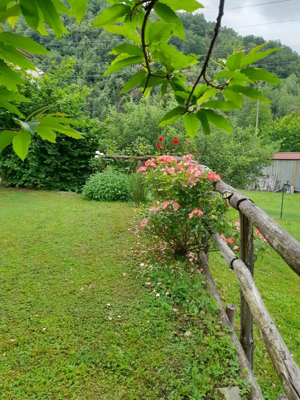 Casa vacanze Alloro House in Liguria
