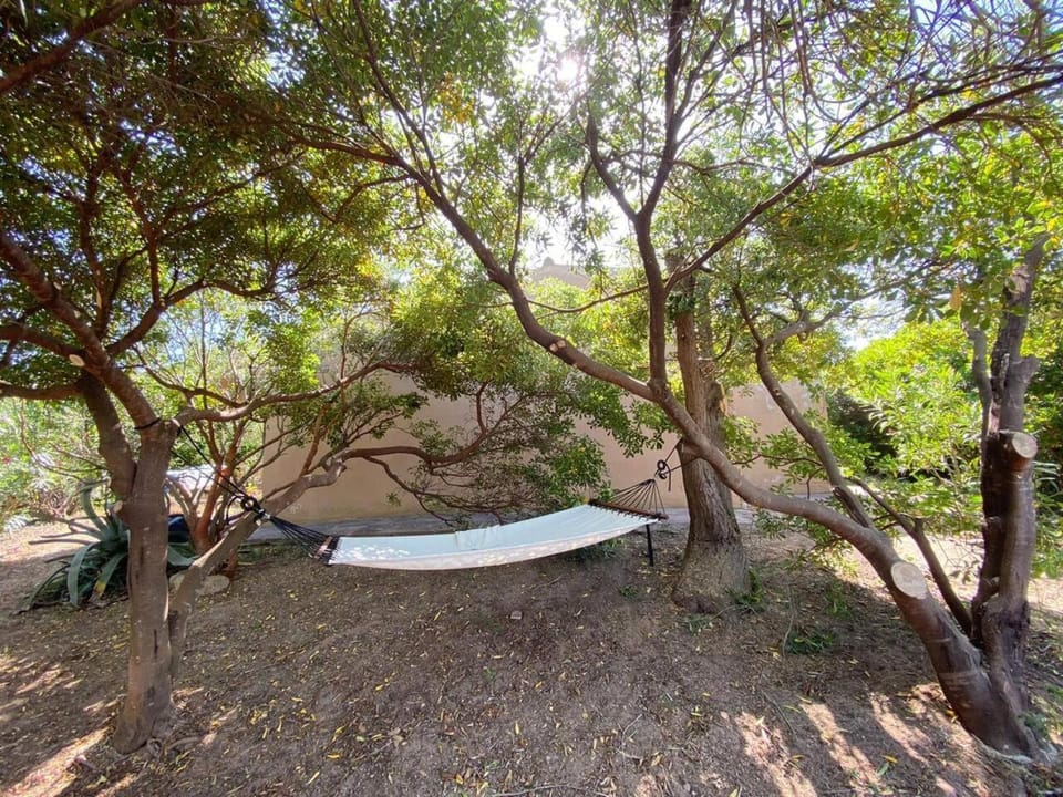 Natural landscape, Garden