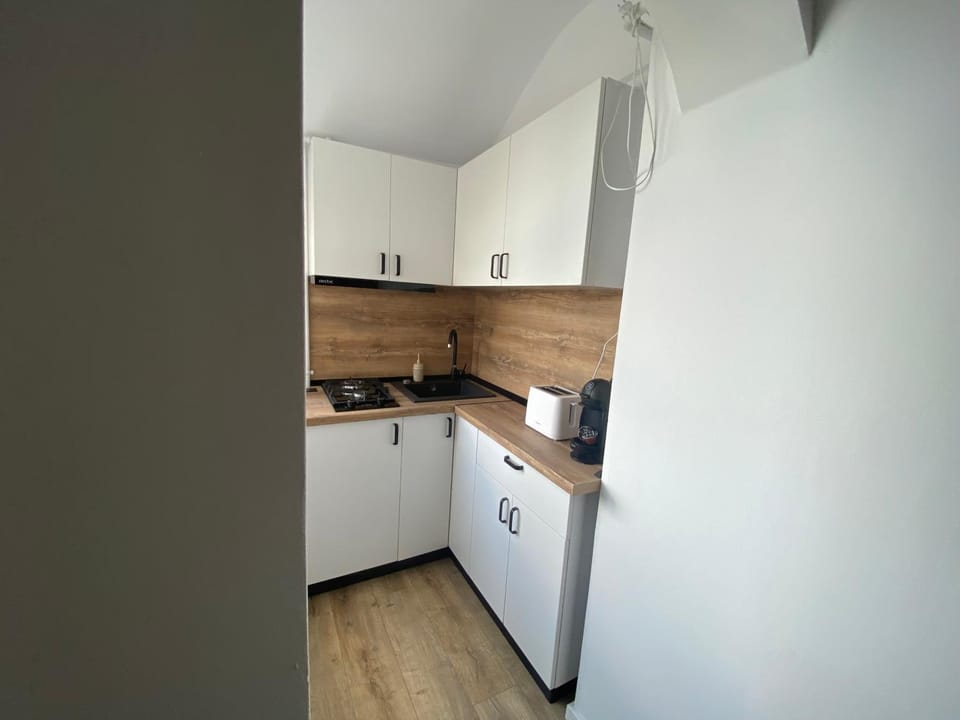 Kitchen or kitchenette, minibar, stove
