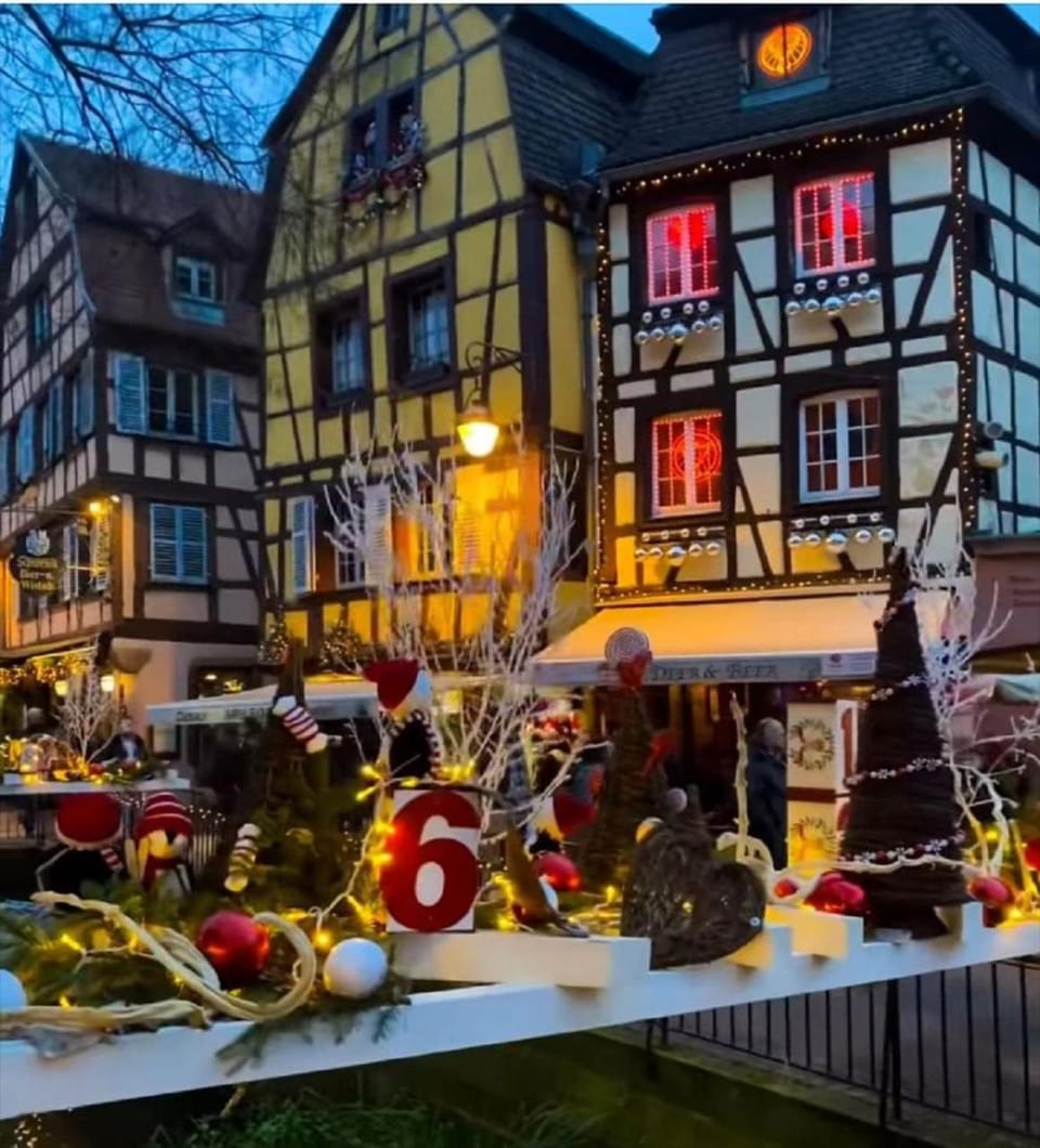 Happy Cosy Apartment in Colmar