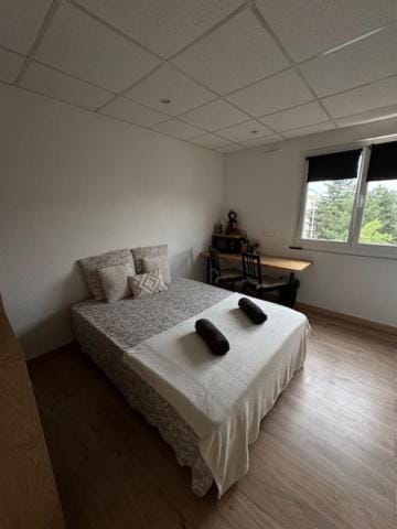 Happy Cosy Apartment in Colmar