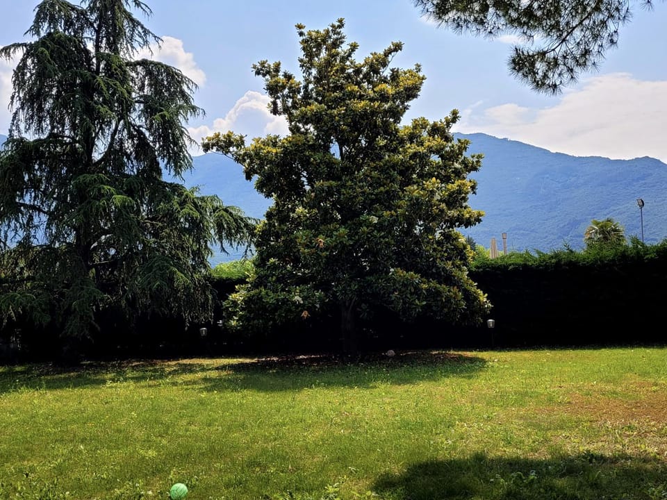 Garden, Garden view, Mountain view