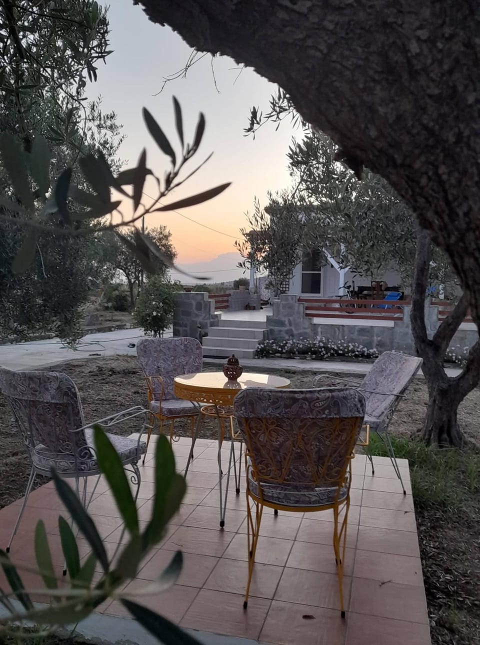 Patio, Garden, Garden view