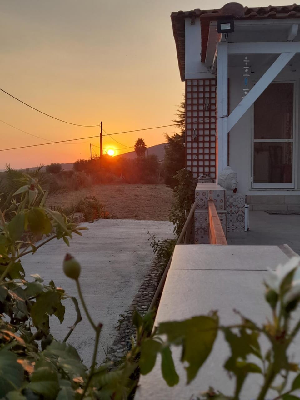 Day, Sunset