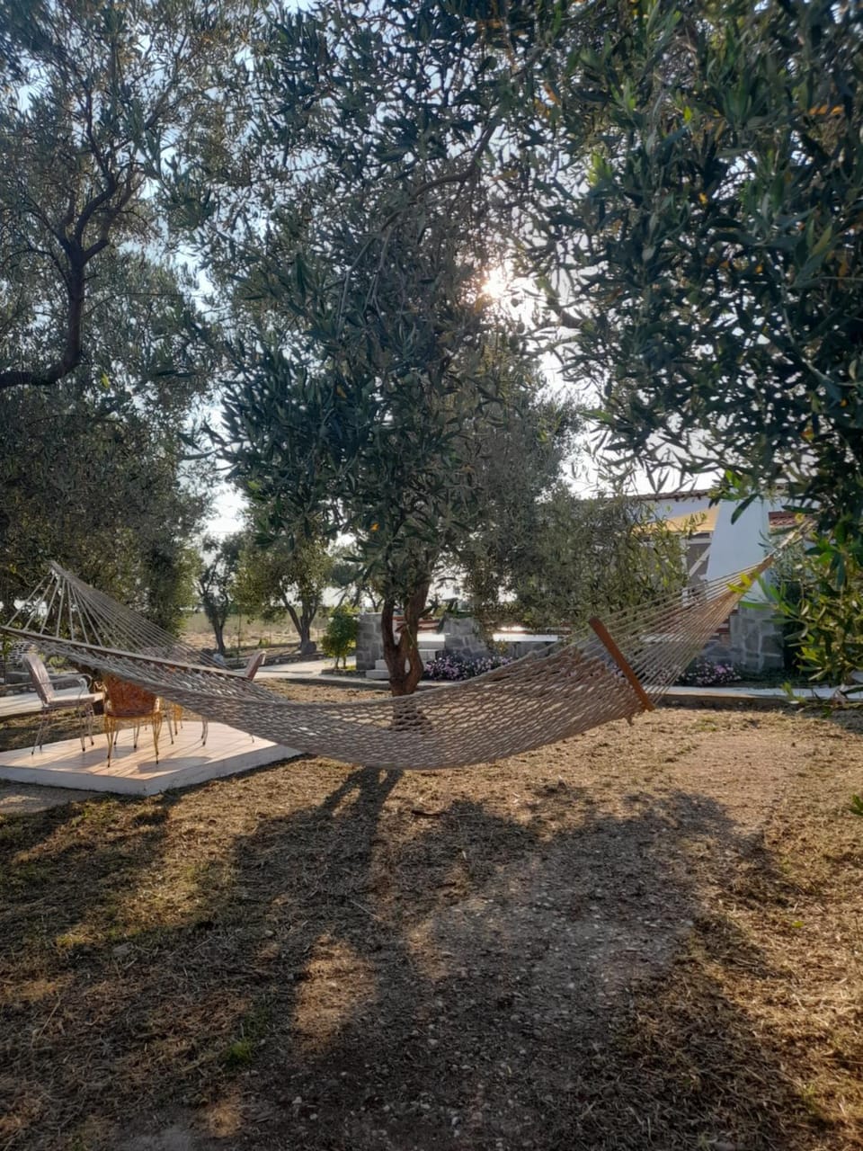 Natural landscape, Garden, Garden view
