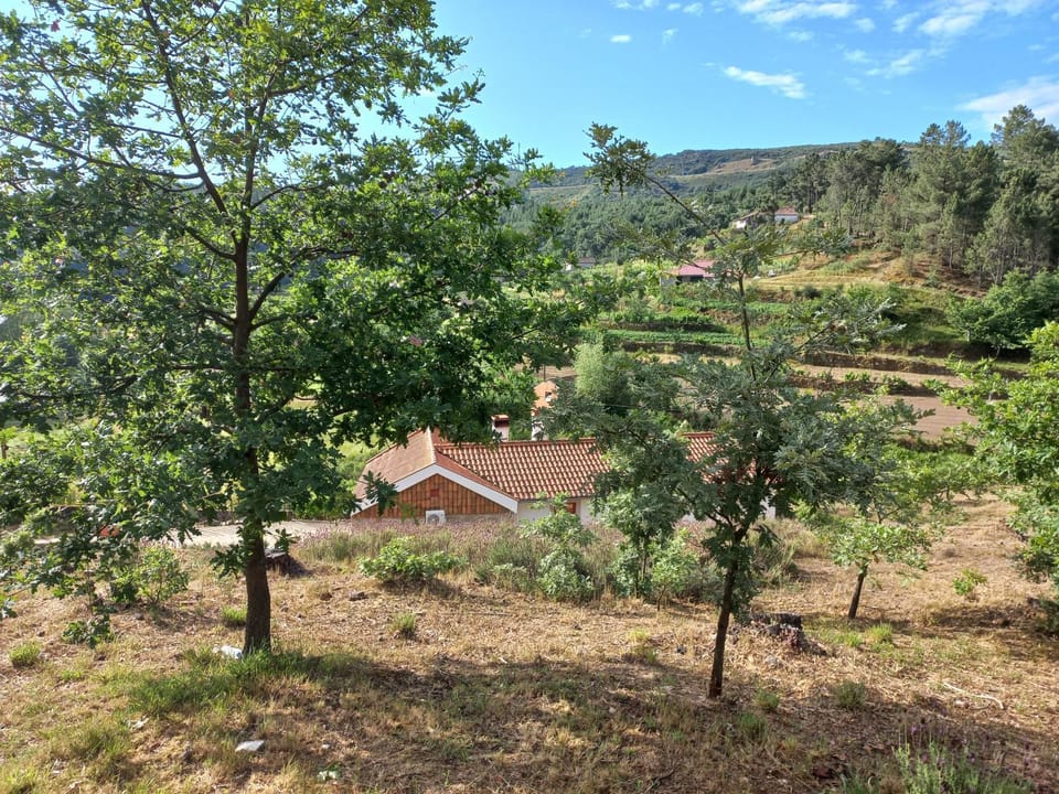 Day, Natural landscape, Mountain view