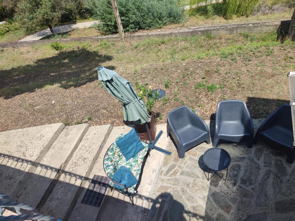 Patio, Garden, Garden view