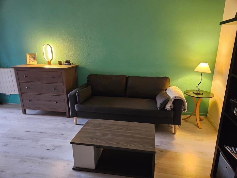 Appartement de charme, Garage, Terrasse, Piscine Apartment in Lyon