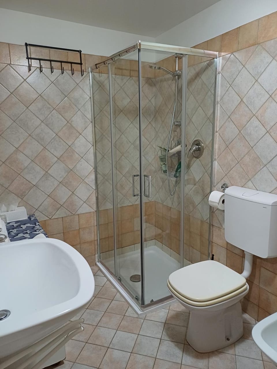 Shower, Toilet, Bathroom, bidet