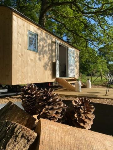 Property building, Garden view