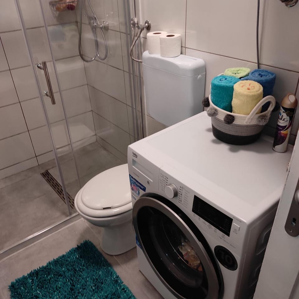 Toilet, Bathroom, towels, washing machine