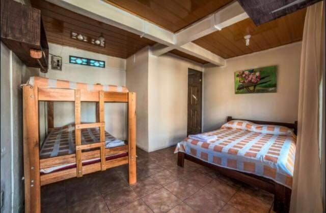 Bed, Photo of the whole room, Bedroom, bunk bed