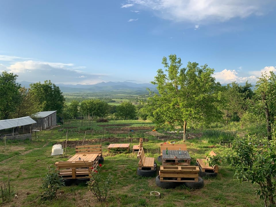 Garden, Garden view, Mountain view
