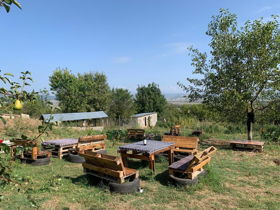 Day, Garden, Dining area, Garden view