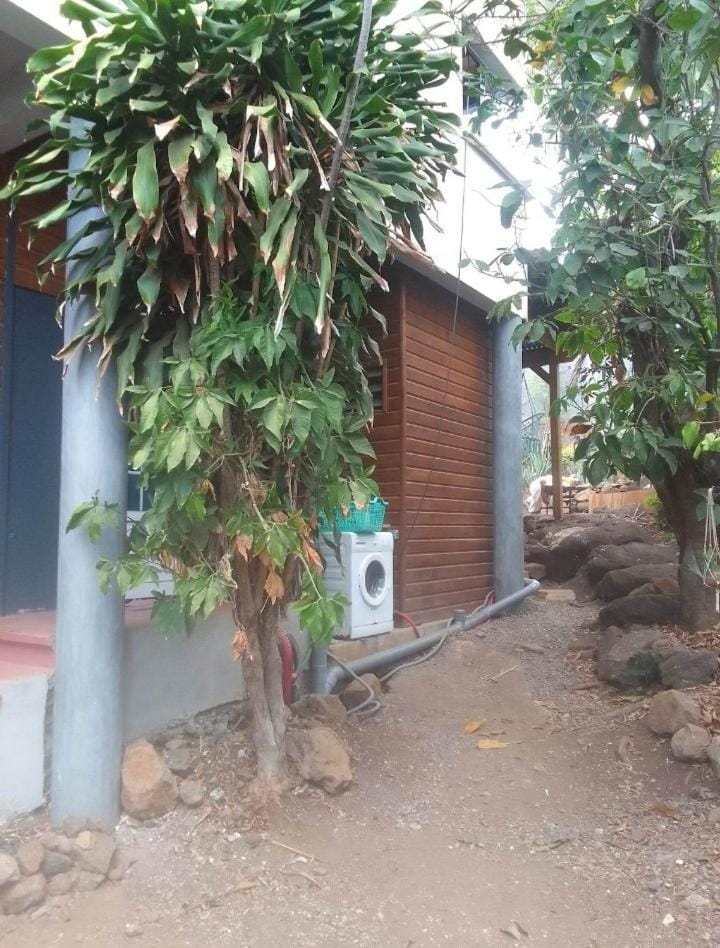 Au geko bleu Bed and Breakfast in Réunion