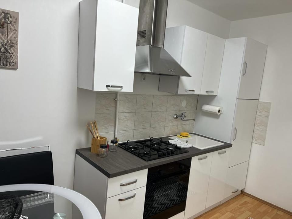 Apartman Lara Apartment in City of Zagreb