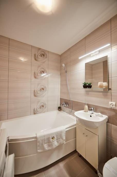 Sona Confort Apartment in Brasov