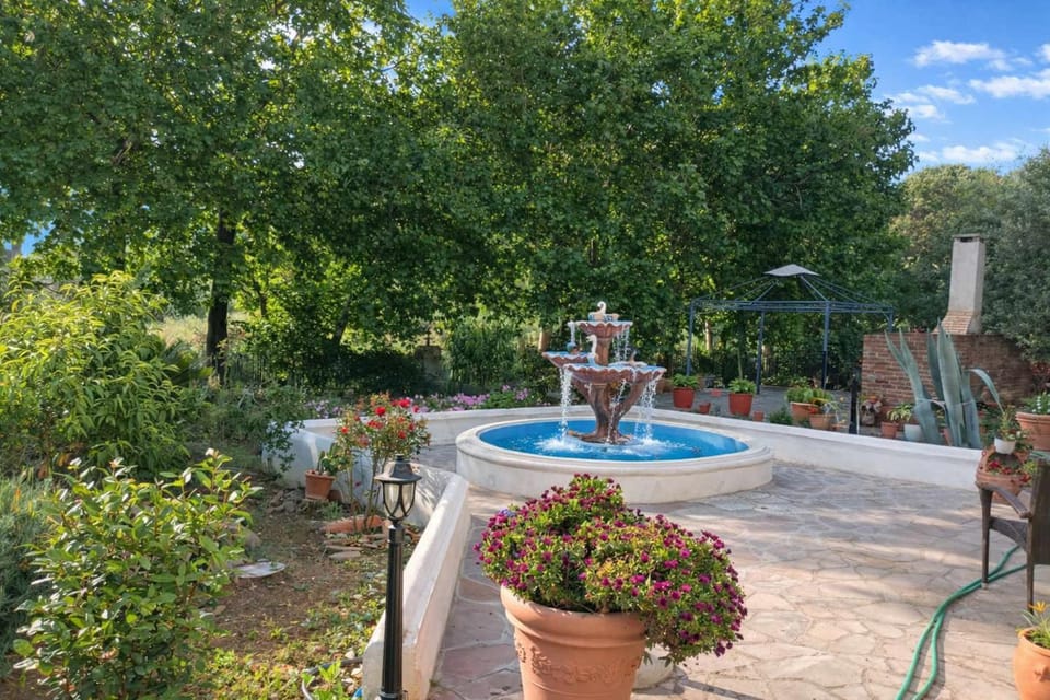 Day, Natural landscape, Garden, Garden view