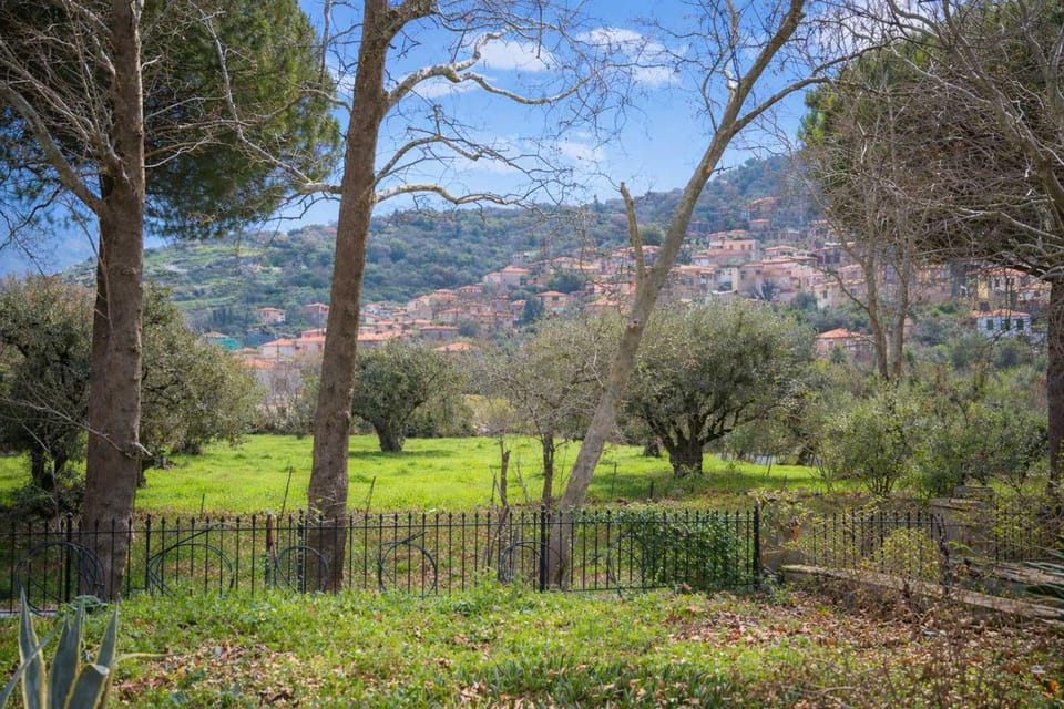 Spring, Day, Natural landscape, Garden, Garden view, Mountain view