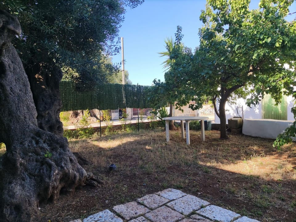 Trullo sole e vento Apartment in Province of Taranto