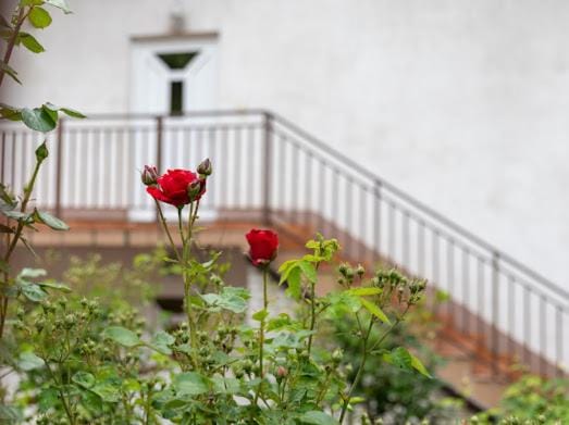 Garden, Garden