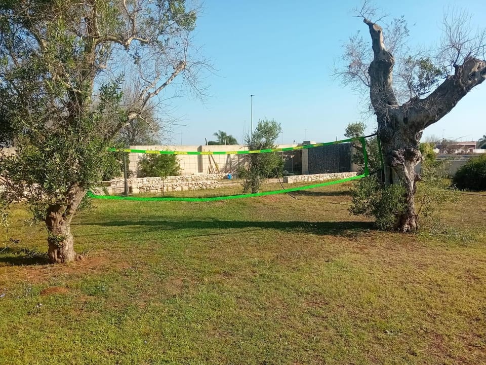 Spring, Day, Natural landscape, Garden, Garden view