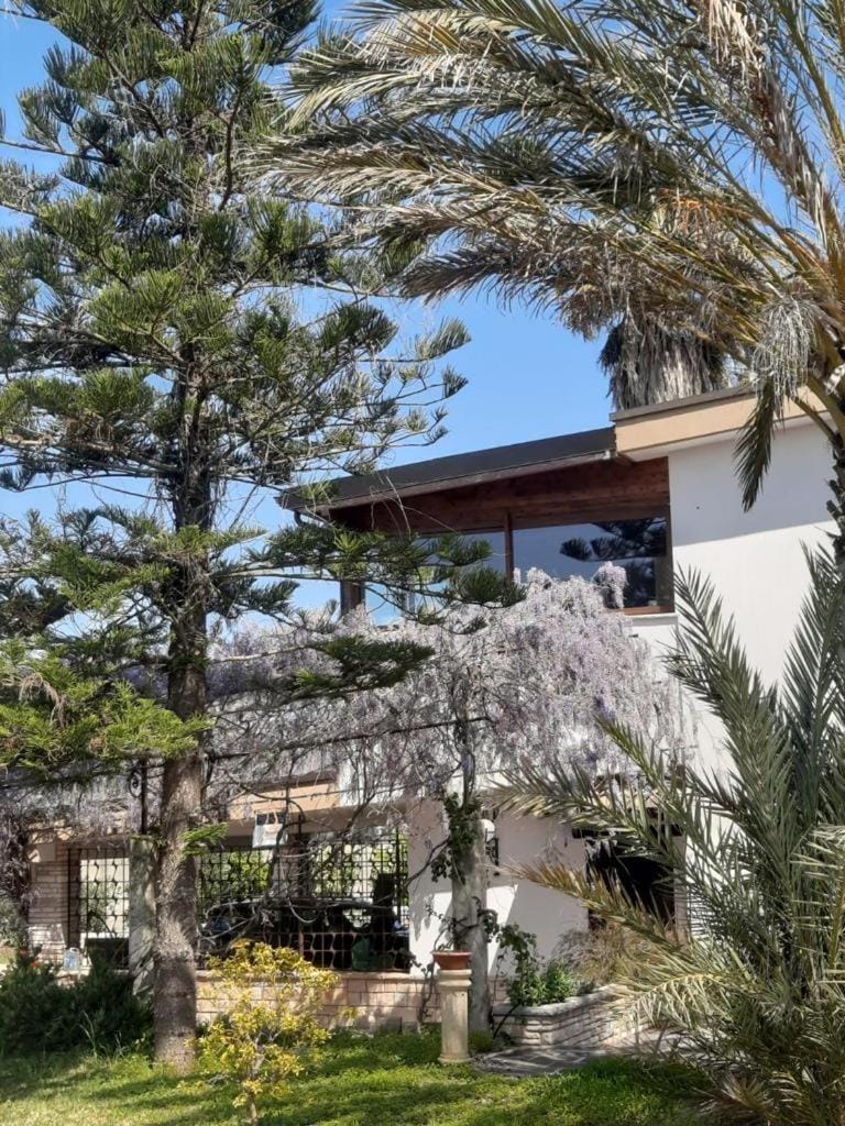 Property building, Spring, Day, Garden, Garden view