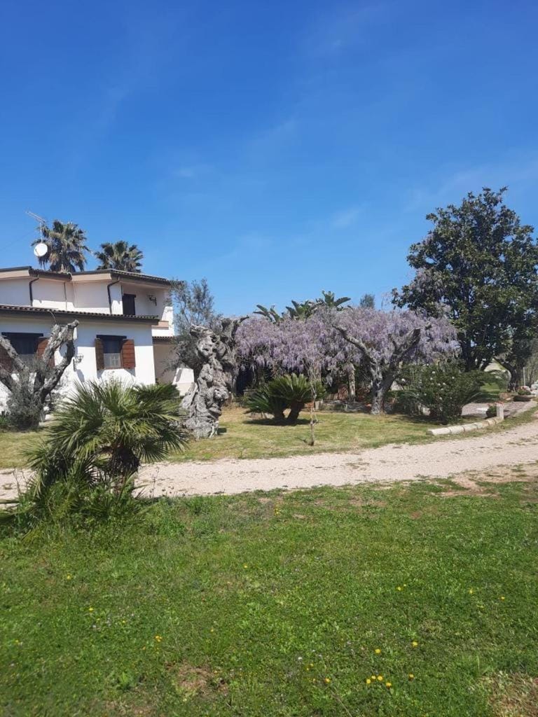 Property building, Spring, Day, Natural landscape, Garden, Garden view