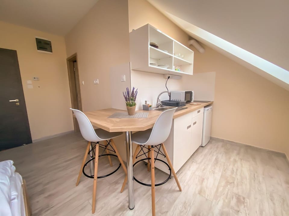 Kitchen or kitchenette, minibar, stove