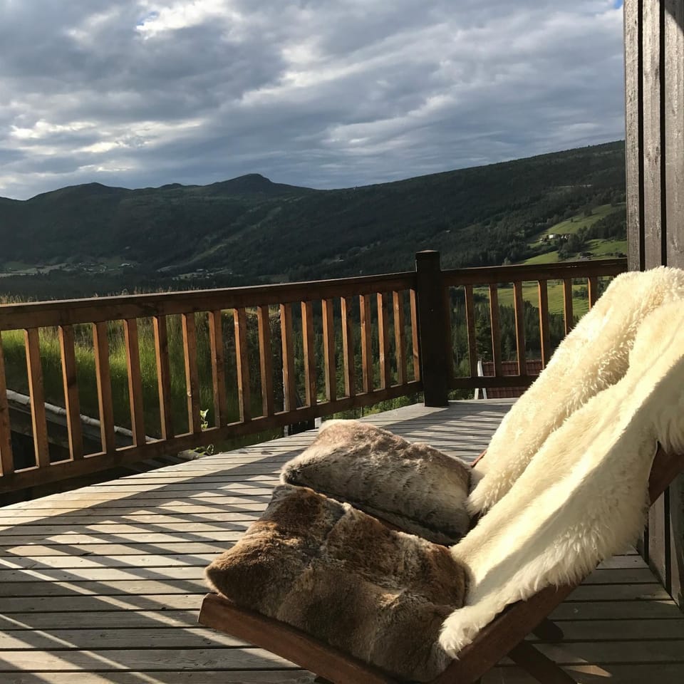 Luxury cabin in the mountains with all facileties Cabin in Viken, Norway