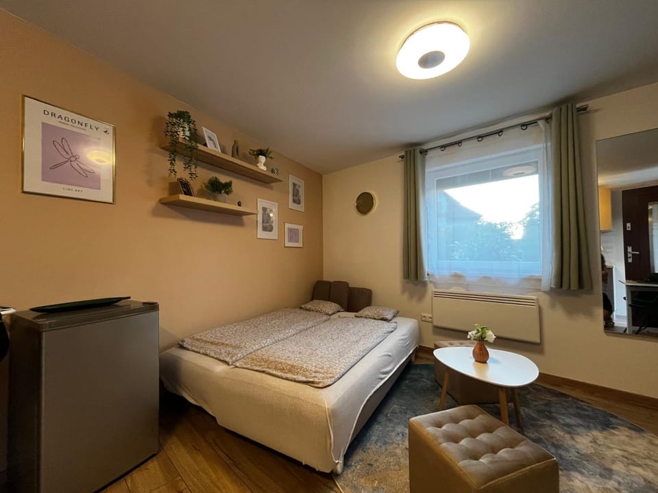 Bed, Living room, Photo of the whole room