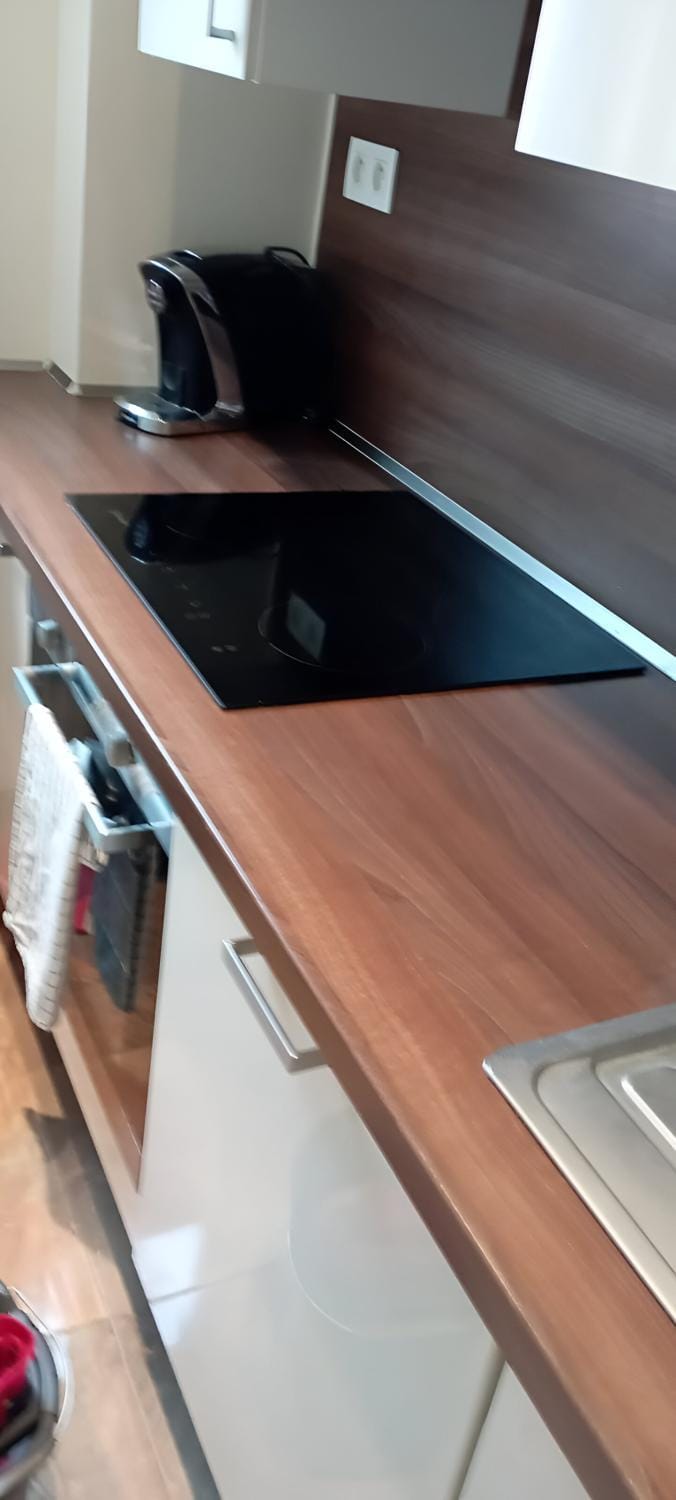 Kitchen or kitchenette, dishwasher, minibar, pet friendly, stove
