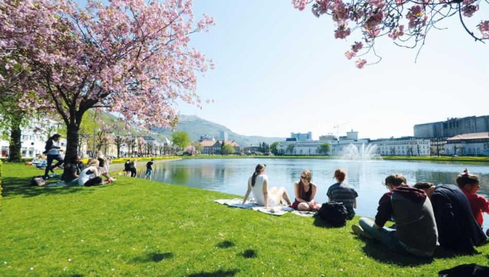 Urban Centre Apartment in Bergen